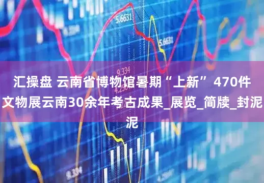 汇操盘 云南省博物馆暑期“上新” 470件文物展云南30余年考古成果_展览_简牍_封泥