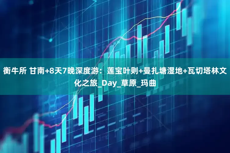 衡牛所 甘南+8天7晚深度游：莲宝叶则+曼扎塘湿地+瓦切塔林文化之旅_Day_草原_玛曲