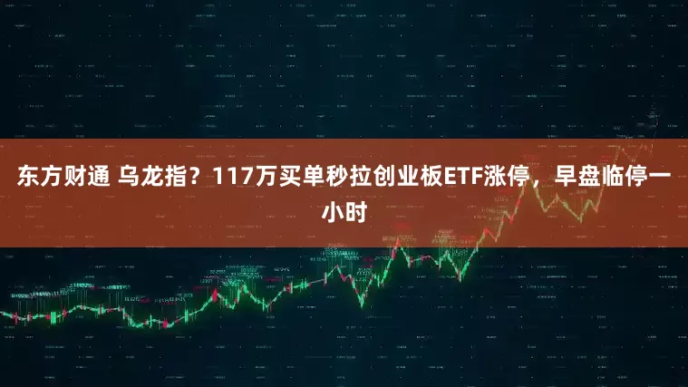 东方财通 乌龙指？117万买单秒拉创业板ETF涨停，早盘临停一小时